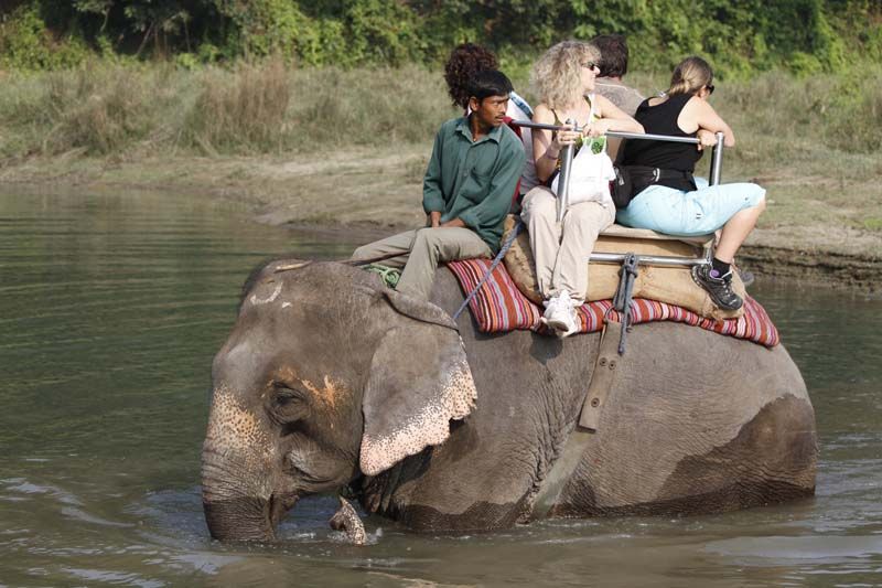 Elephant safari, Chitwan