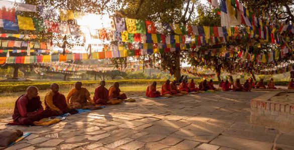 Lumbini — photo 4