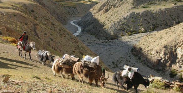 Upper Dolpo Trek